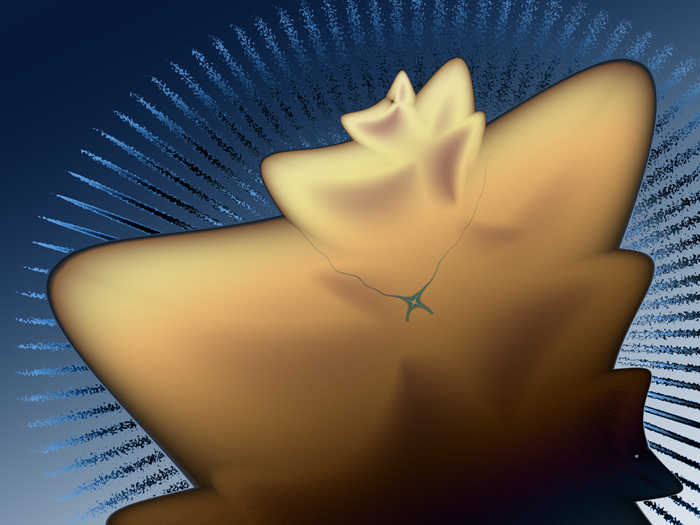 Torso