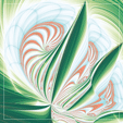 AloeVera