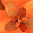 StoneFlower
