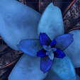 StoneFlower2