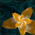 StoneFlower4