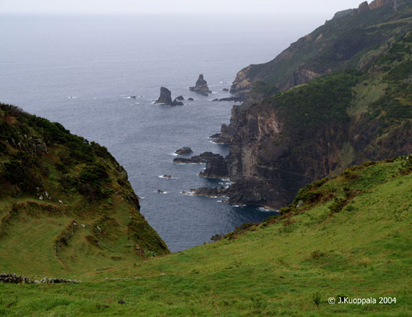 PA090204a
