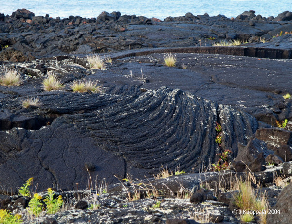 PA120345a
