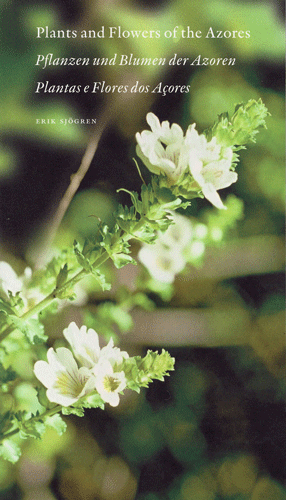 kasvikirja2.gif - 104625 Bytes